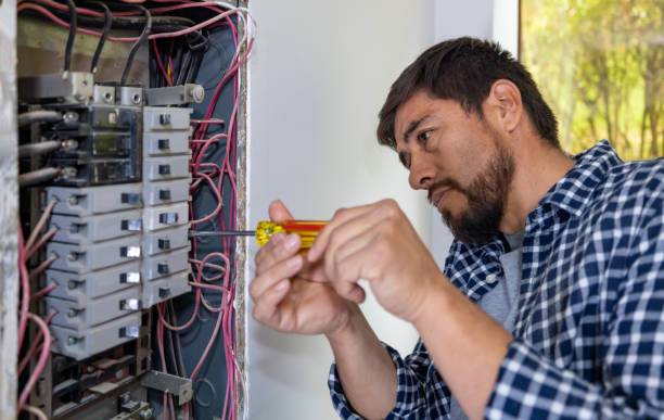 Best Local Electrician Companies  in South Shore, KY